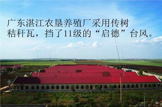 秸稈瓦抵御臺風(fēng)