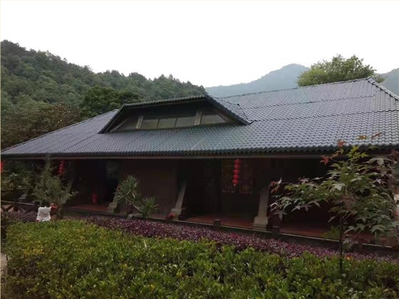 ASA合成樹(shù)脂瓦