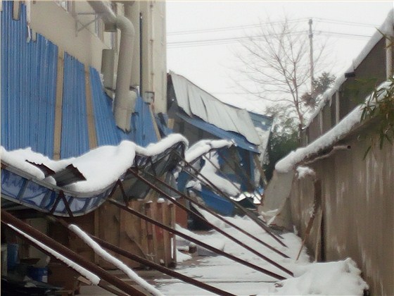 傳樹建材