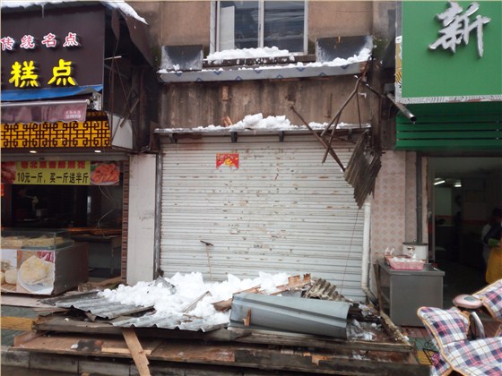 傳樹建材